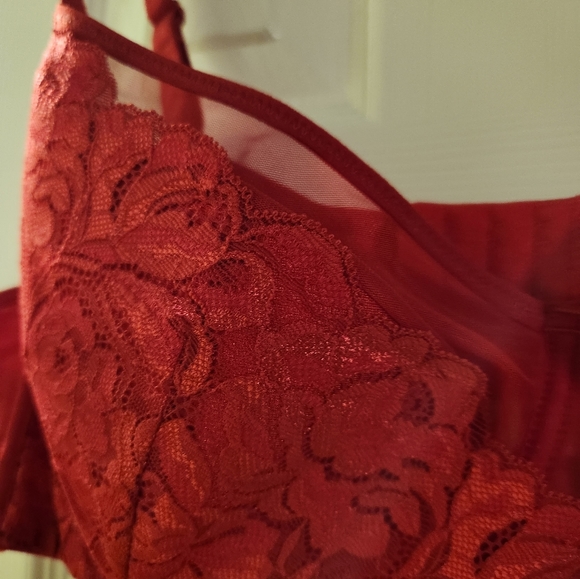 Hips and Curves duet demi red bra - Picture 4 of 6